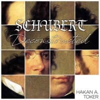 Schubert Deconstructed