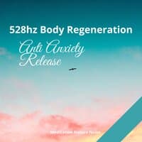 528Hz Spa Days (Well Being)