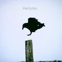 Particles