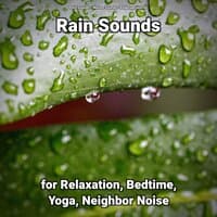 Rain Sounds for Relaxation, Bedtime, Yoga, Neighbor Noise