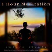 1 Hour Meditation: Ambient Music and Bird Sounds For Meditation, Relaxation, Sleeping Music, Yoga, Spa, Massage, Healing and Wellness