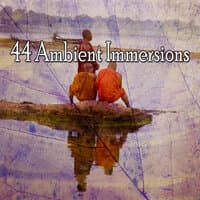 44 Ambient Immersions