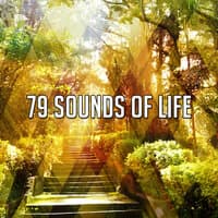 79 Sounds Of Life