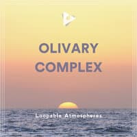 Olivary Complex