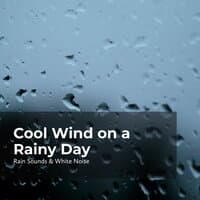 Cool Wind on a Rainy Day