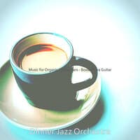 Music for Organic Coffee Bars - Bossa Nova Guitar