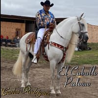 El Caballo Palomo