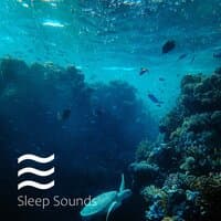 Smooth Sounds for Sleep Babies