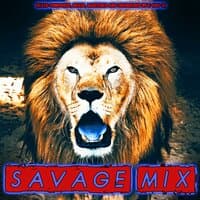 SAVAGE MIX: Beat Tape