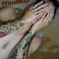 MUD BRAIN