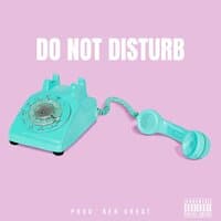 Do Not Disturb