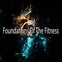 Foundations of the Fitness