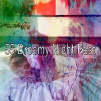 55 Dreamy Night Rest