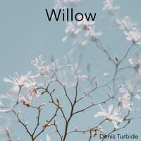 Willow