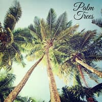 Palm Trees