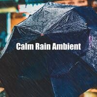 Calm Rain Ambient