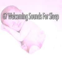 67 Welcoming Sounds for Sleep