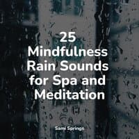 25 Mindfulness Rain Sounds for Spa and Meditation