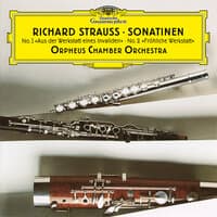 R. Strauss: Sonatina No. 1 "From an Invalid's Workshop", Symphony for Wind Instruments "The Happy Workshop"