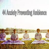 44 Anxiety Preventing Ambience