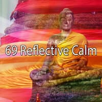 69 Reflective Calm