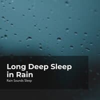 Long Deep Sleep in Rain