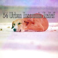 54 Urban Insomnia Relief