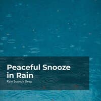 Peaceful Snooze in Rain