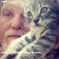 Street Cats With Clean Guitars