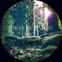 Voices of Nature, Vol. I