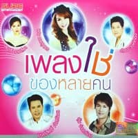 เพลงใช่ของหลายคน