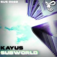 Subworld