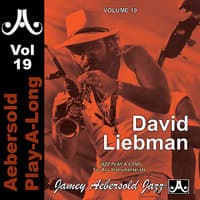 David liebman - Volume 19