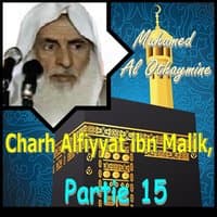 Charh Alfiyyat ibn Malik, Partie 15