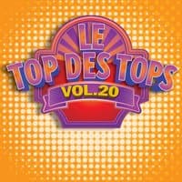 Le Top des Tops des années 80 / 90, Vol. 20