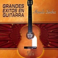 Grandes Exitos en Guitarra, Vol. 8