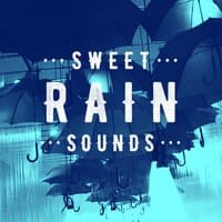 Sweet Rain Sounds