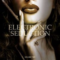 Electronic Seduction, Vol. 2