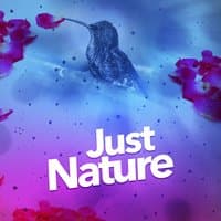 Just Nature