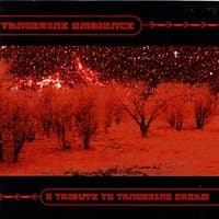 Tangerine Ambience - A Tribute To Tangerine Dream