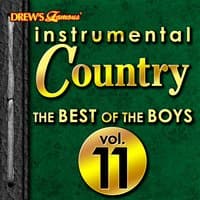 Instrumental Country: The Best of the Boys, Vol. 11