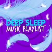 Deep Sleep Music Playlist