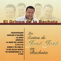 El Gringo de la Bachata