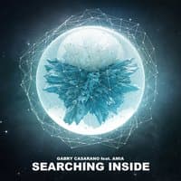 Searching Inside