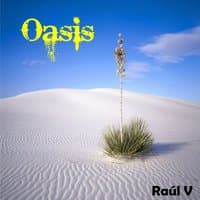 Oasis