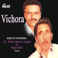 Vichora Vol. 6 - Pothwari Ashairs