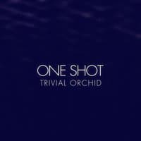 One Shot