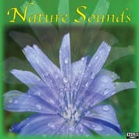 Nature Sounds