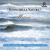 Suoni della natura: Mare