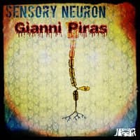 Sensory Neuron